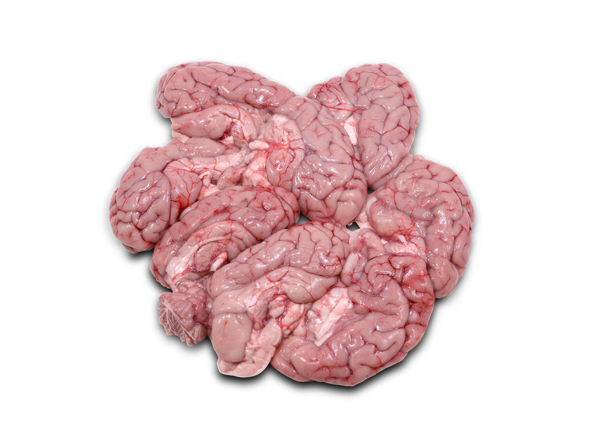 Vepřový mozek